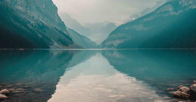 Continuing Covid protocols image