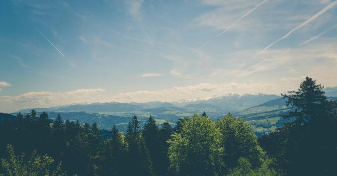 Continuing Covid protocols image